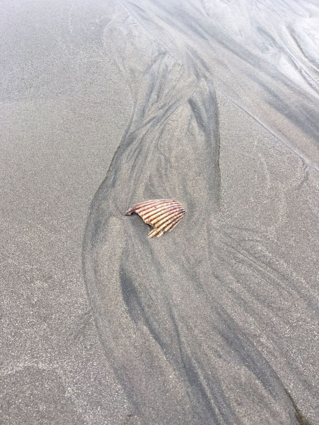Life’s a beach!